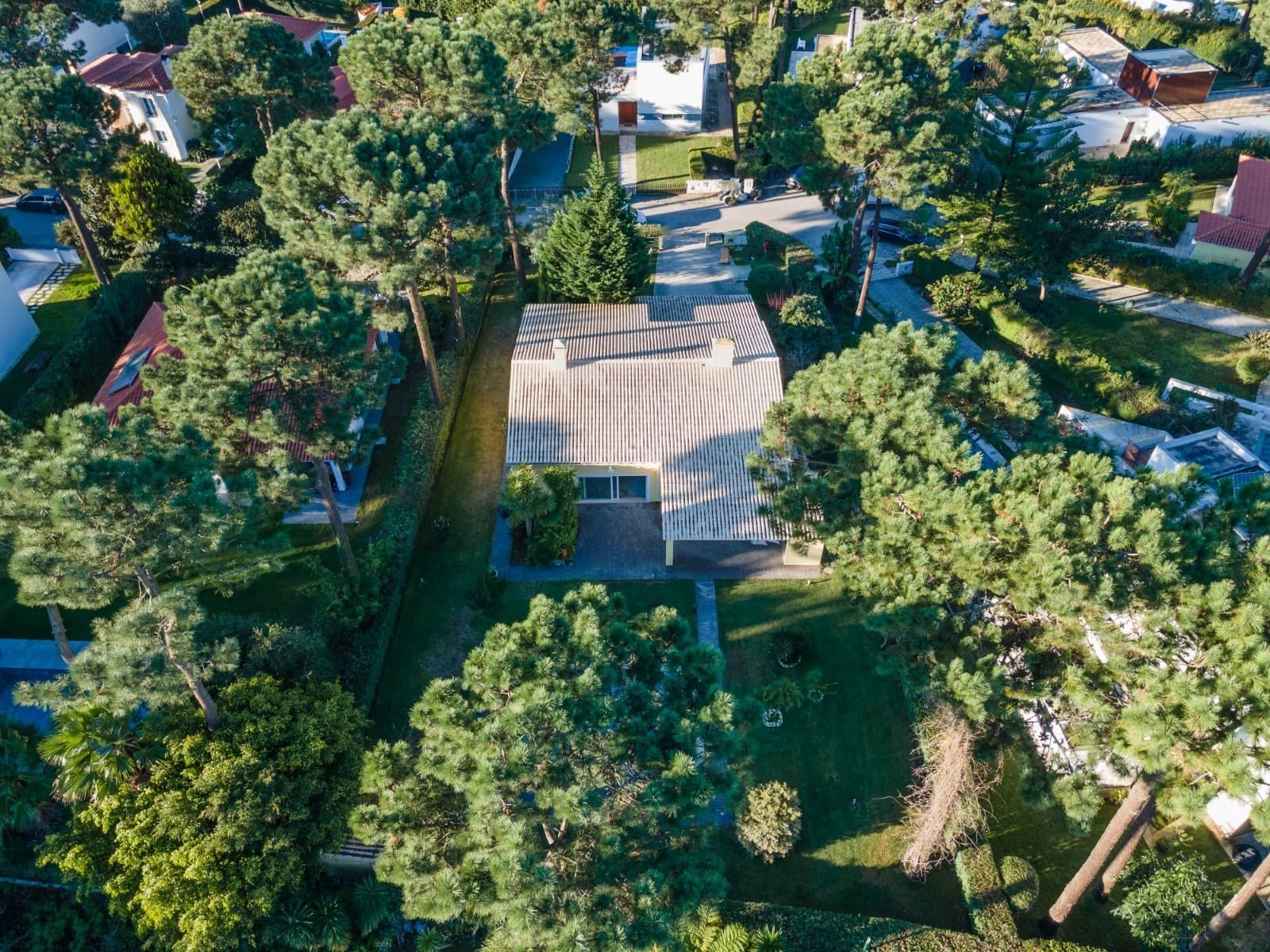 1_2885032a-1b64-4eb0-a2f7-6fc680299c55