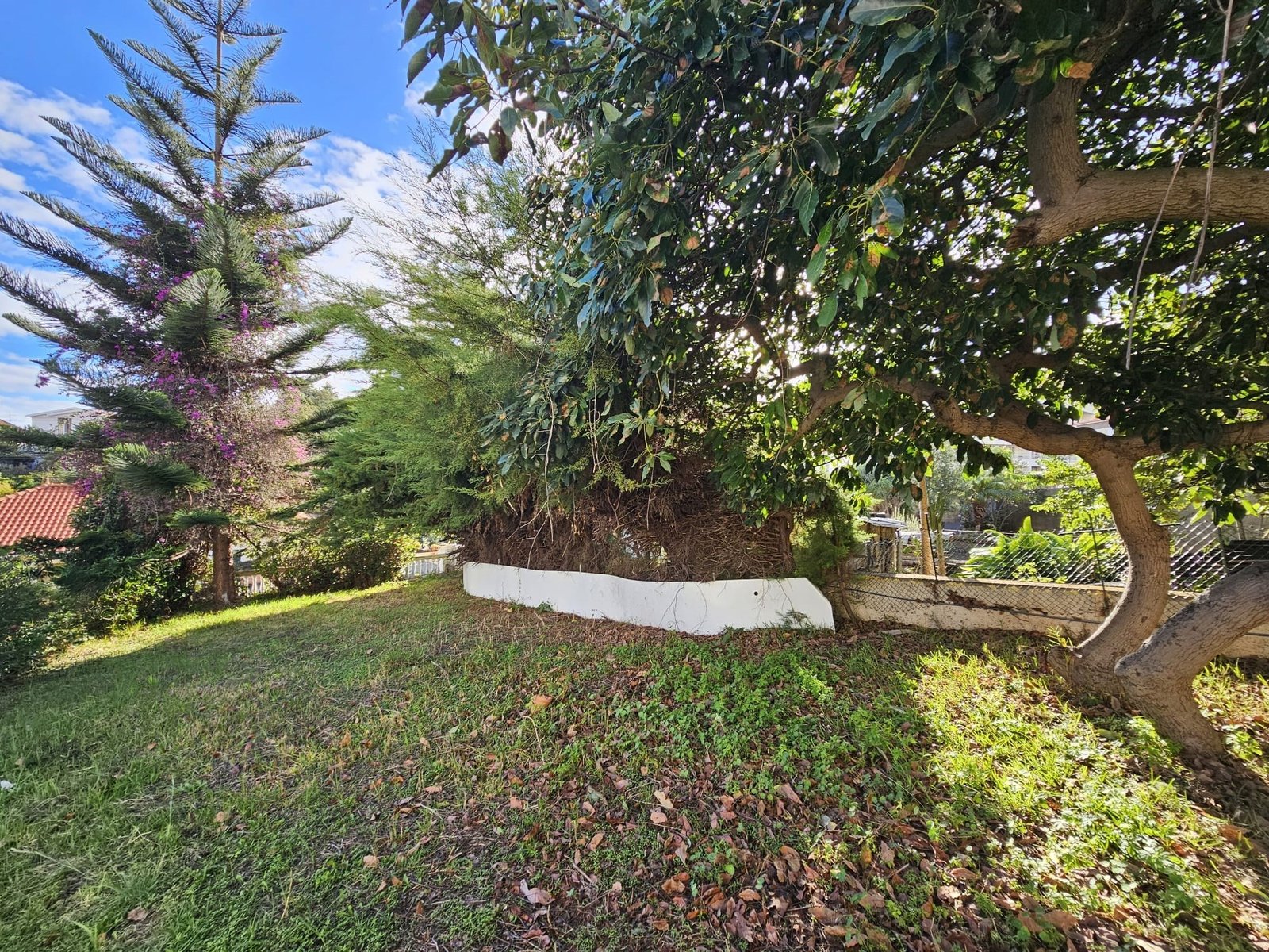 3_26122d37-eedf-4dba-b861-f140429f9a57